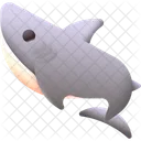 Shark Fish Animal Icon