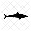 Shark Fish Sea Icon