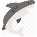 Shark Predator Jaws Icon