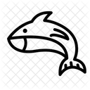 Shark Fish Big Fish Icon