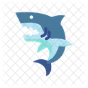 Shark Fish Marine Animal Icon