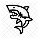 Shark Fish Marine Animal Icon