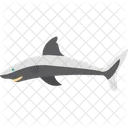 Animal Fish Shark Icône