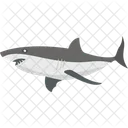 Animal Fish Shark Icône