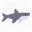 Shark Animal Wild Icon
