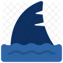 Shark  Icon