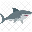 Shark Aquatic Animal Icône