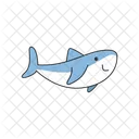 Shark sea animal cartoon icon vector illustration  Icon