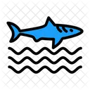 Sharkfin  Icon