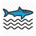 Sharkfin  Icon