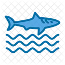 Sharkfin  Icon