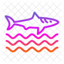 Sharkfin  Icon