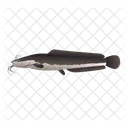 Sharptooth Catfish Icon
