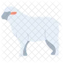 Animal Animal Sheep Icon