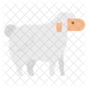 Sheep Lam Farm Icon