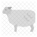 Sheep Animals Mammals Icon