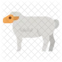 Sheep Ramp Meat Icon