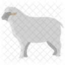 Sheep Animal Wildlife Icon