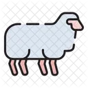 Sheep Food Meat Icon