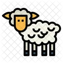 Sheep  Icon