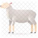 Sheep Animal Lamb Icon
