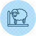 Sheep In Fence Sheep Fence Icon