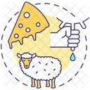 Sheep milk cheese  Icon