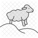 Sheep On Hill Sheep Hill Icon