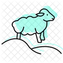 Sheep On Hill Sheep Hill Icon