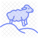Sheep On Hill Sheep Hill Icon
