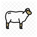 Sheep Wool  Icon