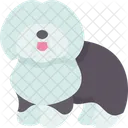 Sheepdog  Icon