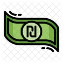 Shekel Currency Money Icon
