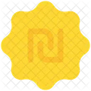 Shekel Currency Money Icon