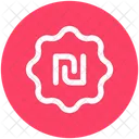 Shekel Currency Money Icon