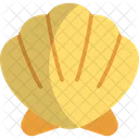 Shell Scallop Sea Animal Icon