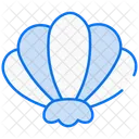 Shell  Icon
