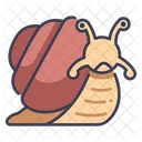 Shell Nature Snail Icon