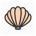 Sea Shell Icon