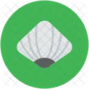 Shell Clam Seafood Icon