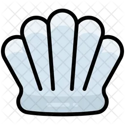 Shell  Icon