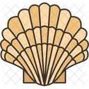 Shell  Icon