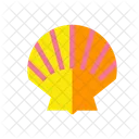 Shell Food Nature Icon