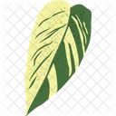 Shell Ginger Tropical Plants Tropical Leaves Icon