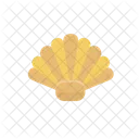 Shell Food Nature Icon