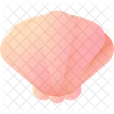 Shell Food Nature Icon