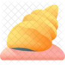Shell Food Nature Icon