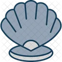 Shell Sea Animal Icon