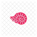 Shell Sea Seashell Icon