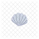 Shell Sea Vector Icon